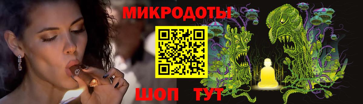 Псилоцибиновые грибы Psilocybe Светлоград